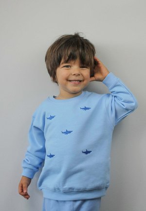 Hellblaues Sweatshirt mit blauer Haifischstickerei. Verfügt über gerippte Bündchen und Saum, lockere Passform und weiche Textur. Sichtbare Hose dazu.