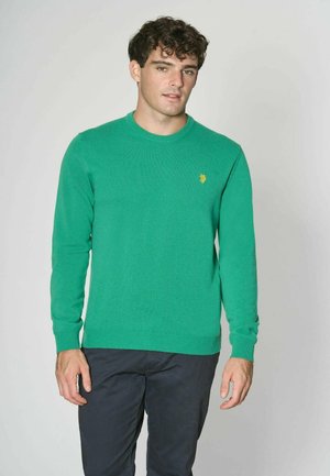 Maglione verde a maglia con collo rotondo, polsini e orlo a costine, con un piccolo logo giallo ricamato sul petto. Indossato con pantaloni scuri.