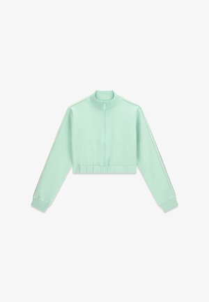Guess, HOCHKRAGEN CROPPED SWEATSHIRT - Sudadera con cremallera - grün