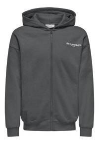 Grijze ritssluiting hoodie van zacht materiaal, met een rits aan de voorkant en een capuchon. Inclusief witte tekst "LES CLASSIQUES" op de borst.