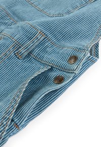 Shorts en denim rayés bleu clair avec quincaillerie en cuivre, coutures visibles et design fuselé. La texture a l'air douce et décontractée.