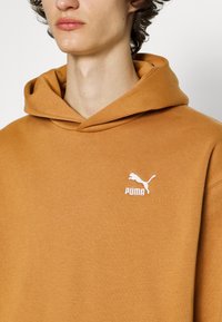 Puma Mikina s kapucňou - braun