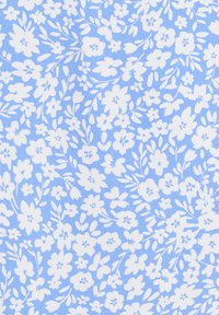 SÁVEL TINKA  - Bluza - blue haze floral