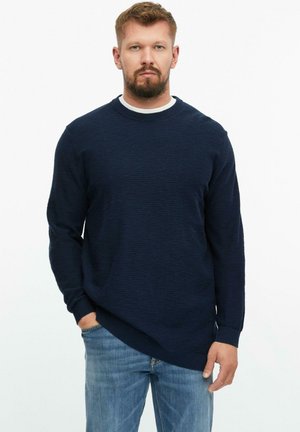 Man met kort bruin haar en baard, die een donkerblauwe trui en lichtblauwe spijkerbroek draagt, staand tegen een effen witte achtergrond.