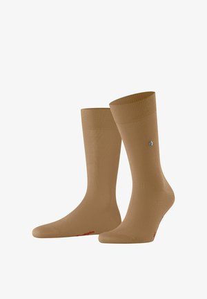 Paar schlichter brauner Mid-Calf-Socken mit gerippten Bündchen und einem kleinen silbernen Emblem auf jeder Seite vor weißem Hintergrund.