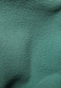 Mammut INNOMINATA LIGHT JACKET WOMEN - Jakna od flisa - dark jade