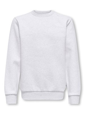 Plain light gray crewneck sweatshirt with long sleeves and ribbed cuffs and hem, displayed on a white background.