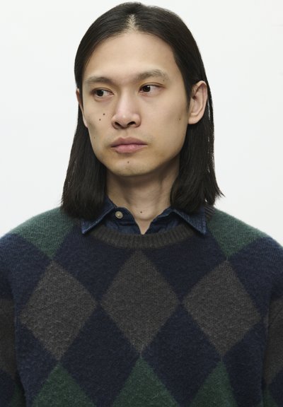 WOOD WOOD WWJAN CREW NECK - Pullover - green gables check