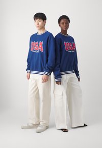 Tommy Jeans ARCHIVE GAMES TEAM USA CREW UNISEX - Sudadera - twilight indigo