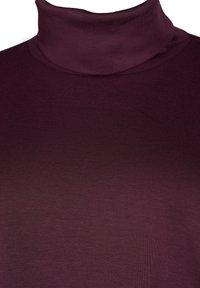 Zizzi MIT ROLLKRAGEN - Top s dlouhým rukávem - fig