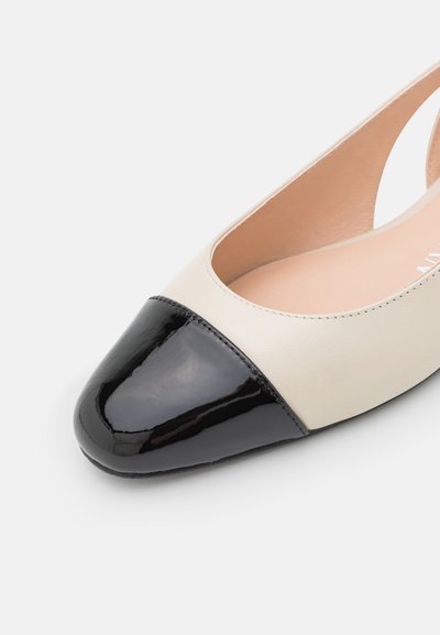 Stuart Weitzman SLEEK SLINGBACK - Balerinos stiliaus laivutės su kulno dirželiu - oat/black