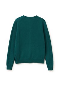 Teal sweater with long sleeves and a round neck. Features a smooth texture and ribbed hem and cuffs. Back view, no additional design elements.