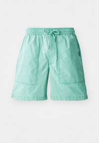 TAXER FATIGUE - Shorts - malachite green