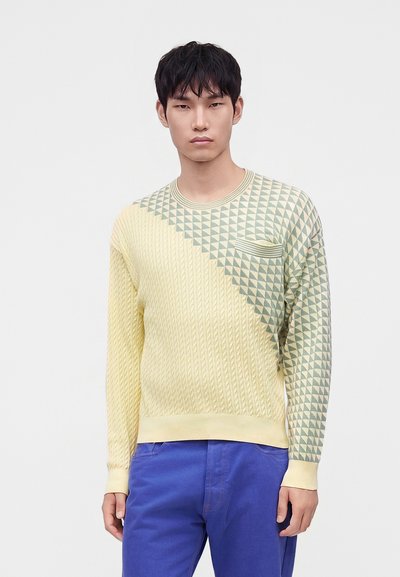 Jeune homme aux cheveux noirs et courts, portant un pull jaune à motifs géométriques et un pantalon bleu, debout devant un fond uni.