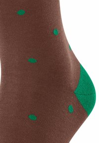 FALKE DOT - Calze - brown