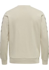 Felpa color beige chiaro con collo rotondo, polsini e orlo a coste. Presenta strisce diagonali marroni scure lungo le maniche esterne. Texture liscia.