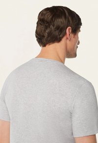 Grijze korte mouwen t-shirt gemaakt van zachte, gestructureerde stof. Heeft een ronde hals en een klein logo-detail aan de achterkant nabij de halslijn.