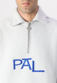 Pal Sporting Goods WET PASS HALF ZIP UNISEX - Φούτερ - light gray