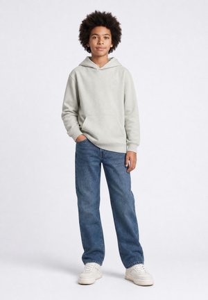 Petrol Industries, PRINTED HOODED SWEATER MILLLAND - Hoodie - ice grey