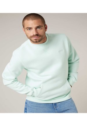 Homme barbu portant un sweat-shirt vert menthe clair et un jean bleu, les mains dans les poches, regardant vers la caméra sur un fond uni.