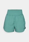 ONE - Sports shorts - bicoastal/reflective silver