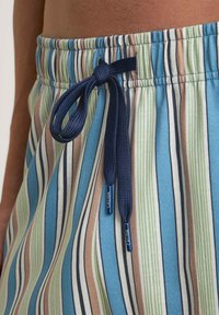 Multikleurige gestreepte zwembaden met tinten blauw, groen en bruin. Elastische tailleband met een marineblauwe trekkoord en metalen aglets.