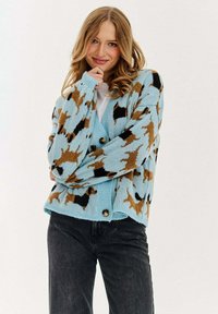 Světle modrý pletený svetr s kostkovaným vzorem v hnědé a černé barvě. Má zapínání na knoflíky a žebrované manžety, stylizovaný s tmavými džíny.