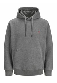Felpa con cappuccio - grey melange