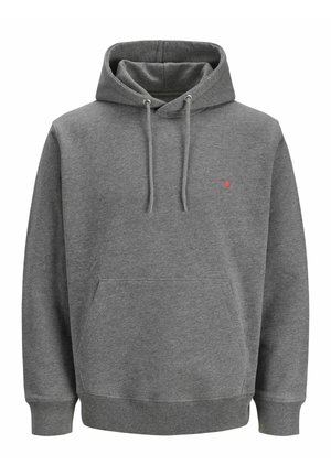 R.D.D. ROYAL DENIM DIVISION, RDD Printed - Jersey con capucha - grey melange