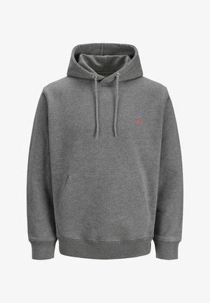 R.D.D. ROYAL DENIM DIVISION, RDD Printed - Jersey con capucha - grey melange