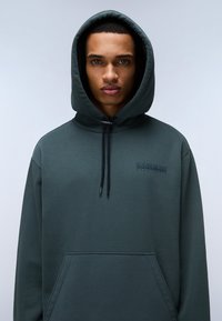 Felpa con cappuccio verde scuro, dotata di tasca a marsupio, lacci nel cappuccio e un discreto logo del brand sul frontale. Tessuto dalla consistenza liscia.