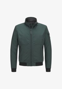 Unausgewählt, dunkelgrün