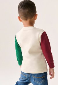 Langarmshirt mit cremefarbenem Körper, grünem linken Ärmeln und kastanienbraunem rechten Ärmel. Weiches Baumwollmaterial, Rundhalsausschnitt und einfaches Design.