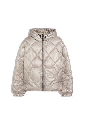 Bershka, DIAMOND - JACKET - Vinterjakker - grey