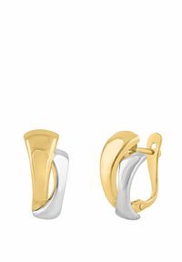 Orecchini in metallo tono oro e argento con un design astratto e curvo. Presentano una chiusura a leva con cerniera e finiture lisce e lucide.