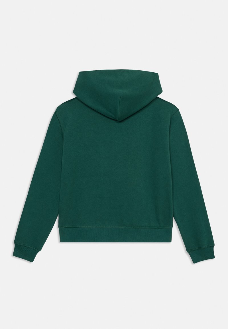 Felpa con cappuccio verde dal tessuto morbido, con polsini e orlo a coste. Presenta una tasca a marsupio e una vestibilità comoda.