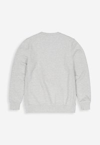 Grijze sweatshirt, ronde hals, lange mouwen, zachte katoenmateriaal, ribgebreide manchetten en zoom, minimalistisch ontwerp, geen opvallende kenmerken of logo's.