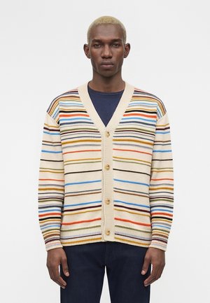 Mladý muž s krátkymi blond vlasmi, oblečený v krémovom kardigane s viacfarebnými horizontálnymi pruhmi a tmavými nohavicami, stojaci pred bielym pozadím.