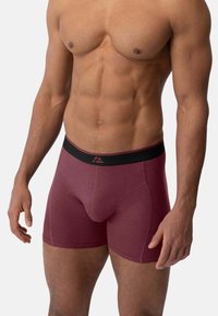 Caleçons boxers bordeaux avec une taille élastique noire, présentant un design ajusté et un tissu lisse et léger. Conçus pour le confort et le soutien.