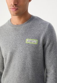 Pilkas vilnos megztinis su apvaliu kaklu ir žaliai-baltu zvigzdžiu žodžiu "FUTURE" siuvinėjimu ant krūtinės. Minkšta tekstūra ir prigludęs dizainas.