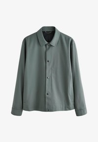 Ikke valgt, sage green