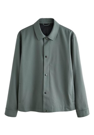 Next, REGULAR FIT, zielony
