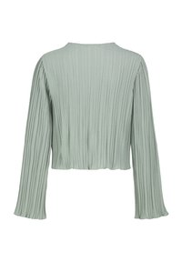 Light green, cropped top with long, wide sleeves and vertical pleats. Soft, textured fabric with a rounded neckline.