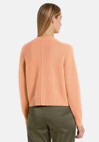 Perzikkleurige gebreide trui met geribde zoom en manchetten, met een schone rugontwerp en zachte textuur. Gekleed met olijfgroene broek.