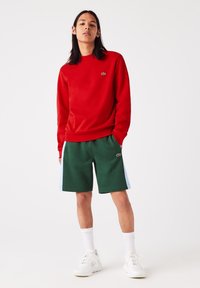 Sweat-shirt rouge à col rond et short vert avec des bandes latérales bleues. Chaussettes et chaussures de sport blanches. Logo Lacoste sur le sweat-shirt et le short.