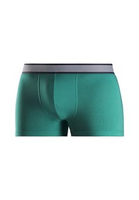 Teal boxer briefs with a snug fit, made of smooth fabric, featuring a striped black and white elastic waistband. No visible patterns or accents.