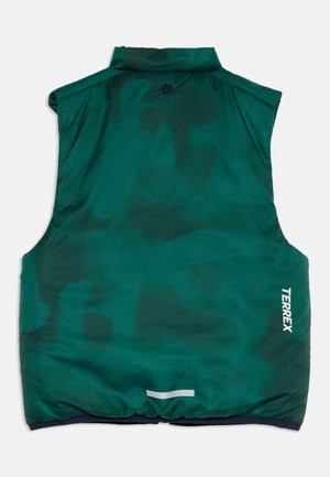 adidas Terrex, INSULATED UNISEX - Smanicato - collegiate green