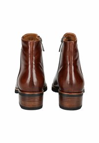 Brown leather ankle boots featuring a sleek design, rounded toes, a side zipper, and a stacked wooden heel with a black base.