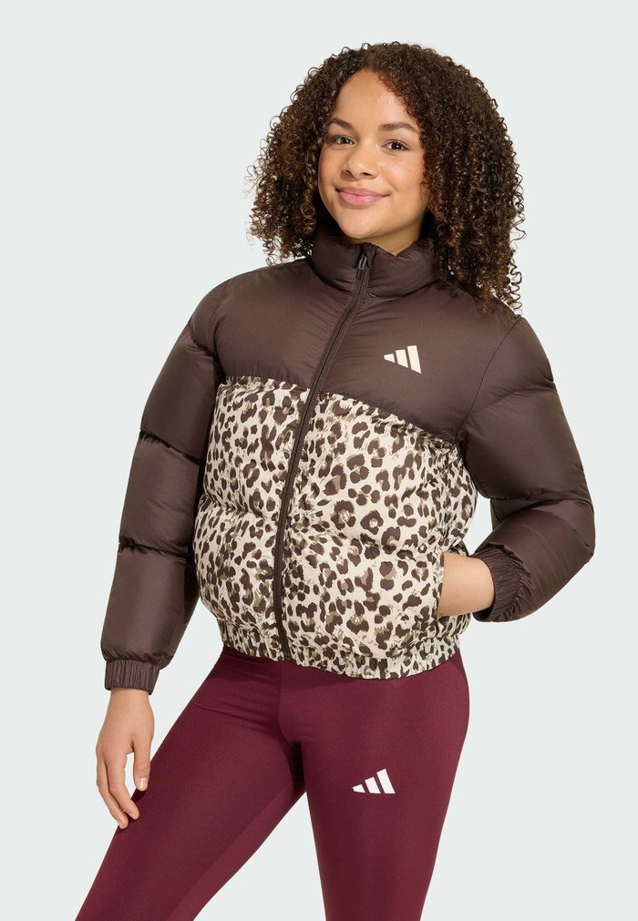 adidas Winter jacket - dark brown crystal linen khaki six crystal linen