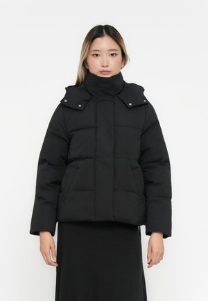 JDYMAJA SHORT PADDED JACKET - Veste d'hiver - black